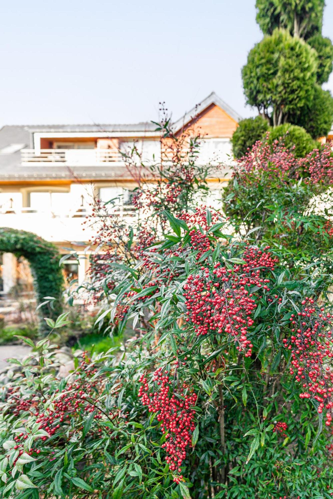 Logis L'Auberge - Maison Glenn Anna Saint Anne-dʼAuray Eksteriør billede